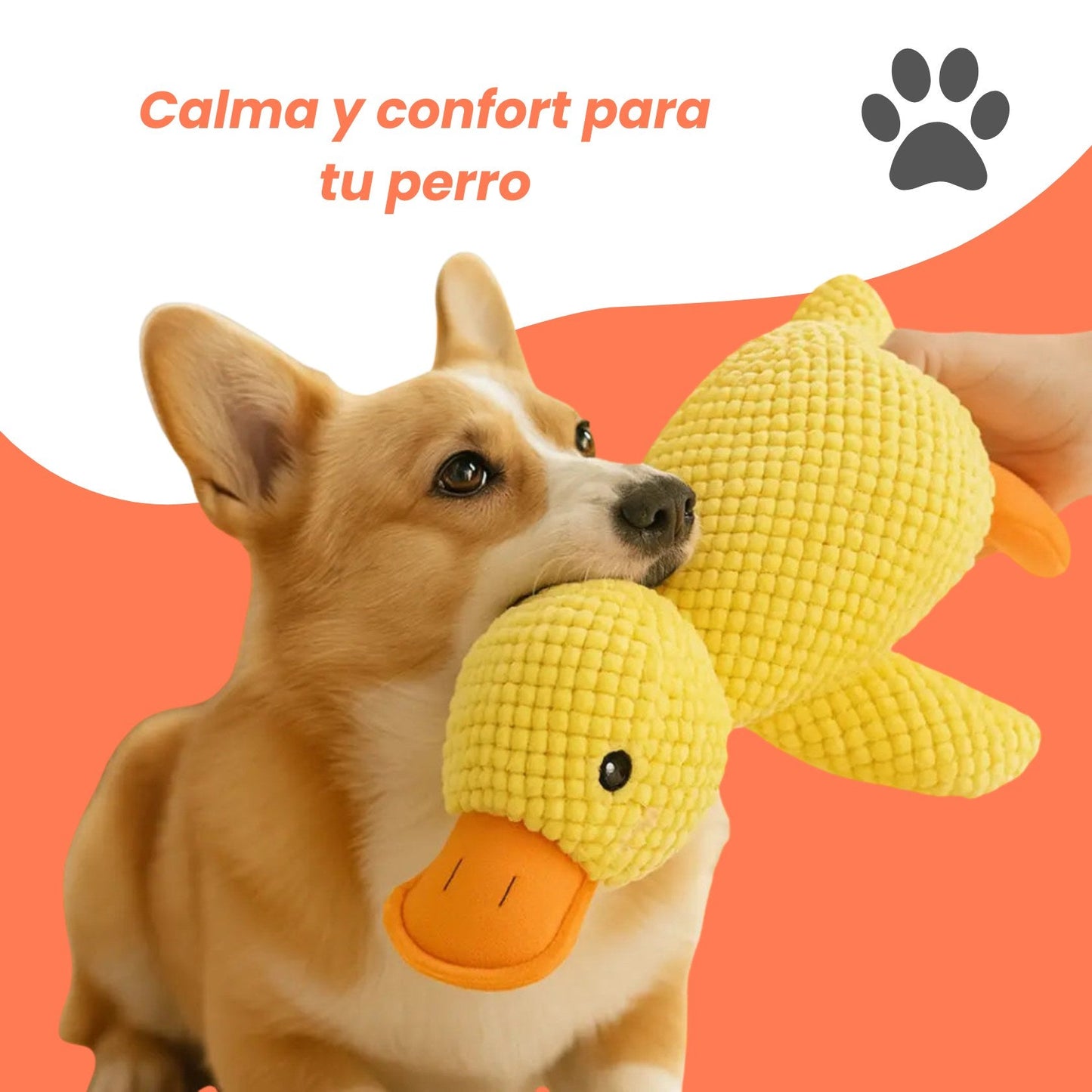 Patozen - Peluche para perros
