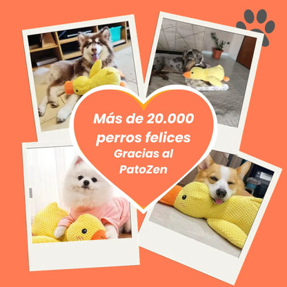 Patozen - Peluche para perros